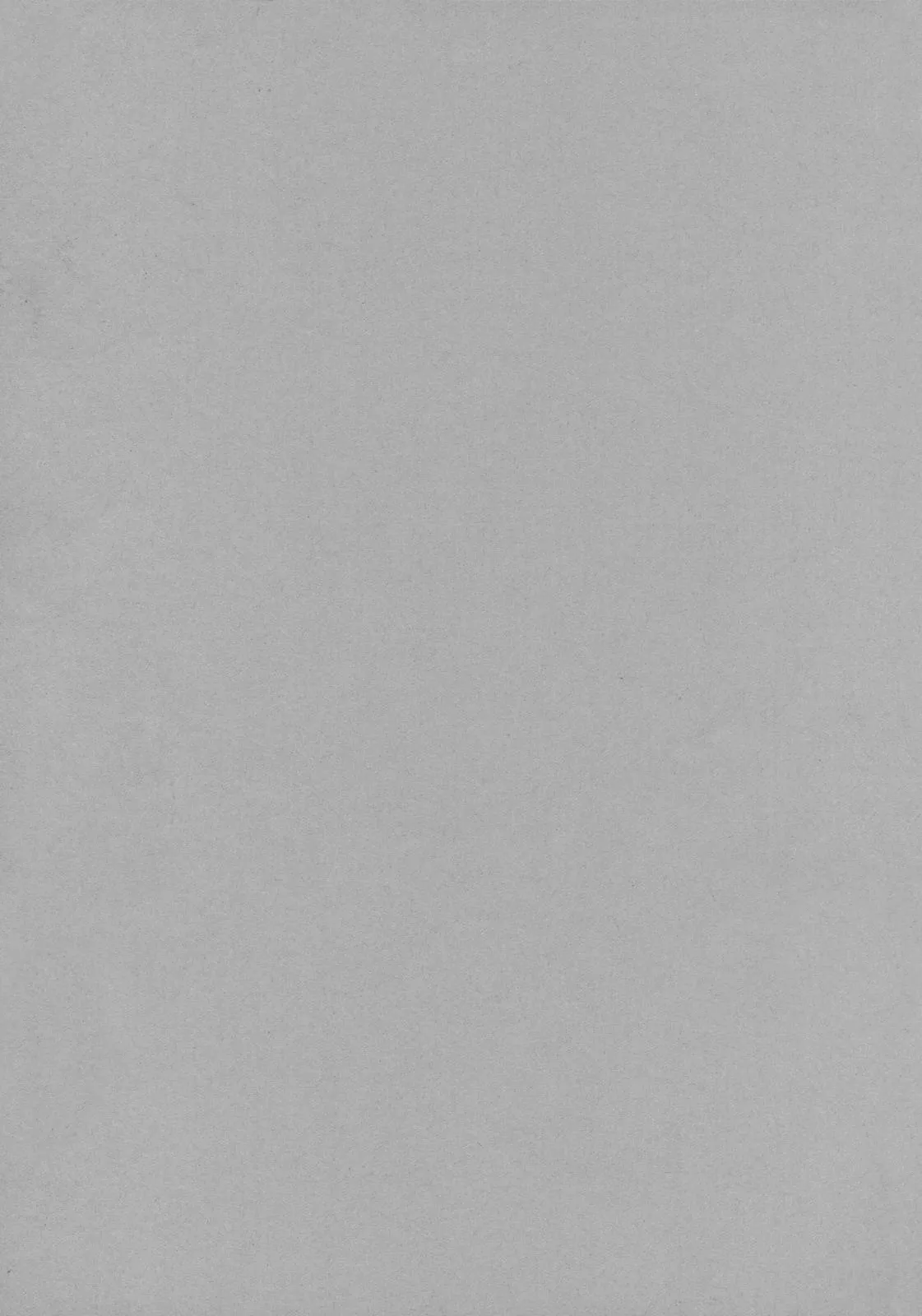 (C70) [Todd Special (Todd Oyamada)] Yukemuri NyanNyan Jiken (Bleach) [Chinese] [Decensored][考古学家个人汉化] 图片编号 2