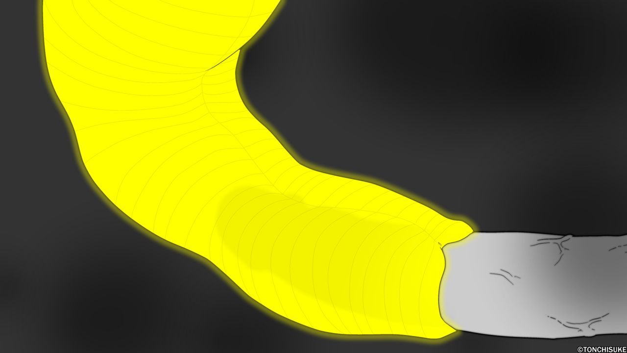 [Tonchisuke] Cum-eating Starfish 5eme image