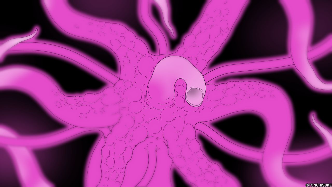 [Tonchisuke] Pink Tentacle Creature 3eme image