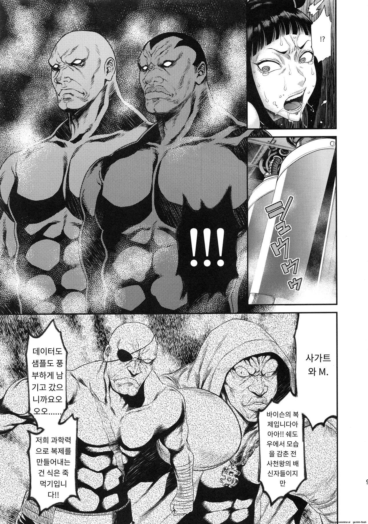 (C95) [Ozashiki (Sunagawa Tara)] Jaaku | 사악 (Street Fighter) [KOREAN_AI] imagen número 8