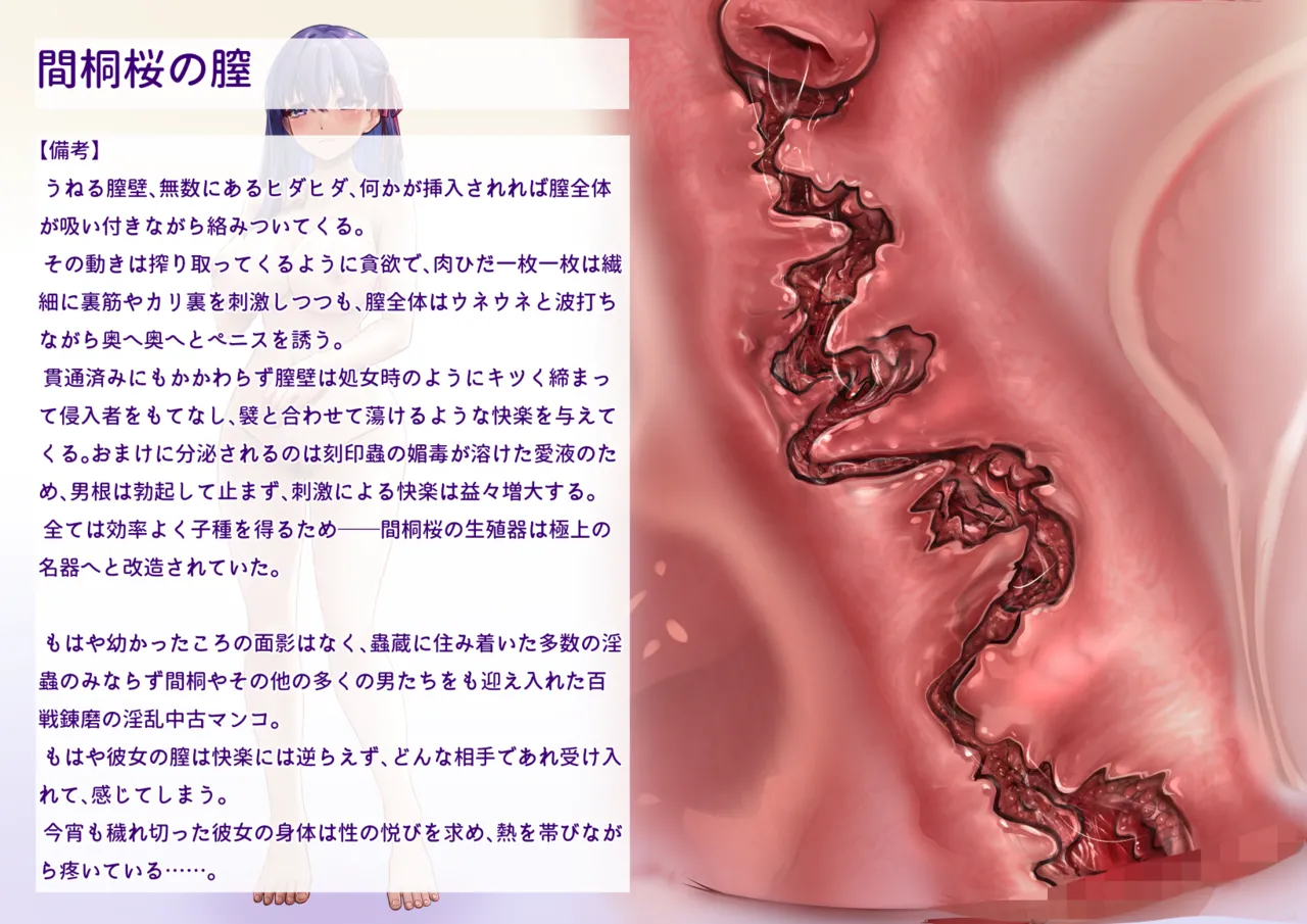 [Miyakura Halt] 間桐桜のエロステ立ち絵 numero di immagine  22