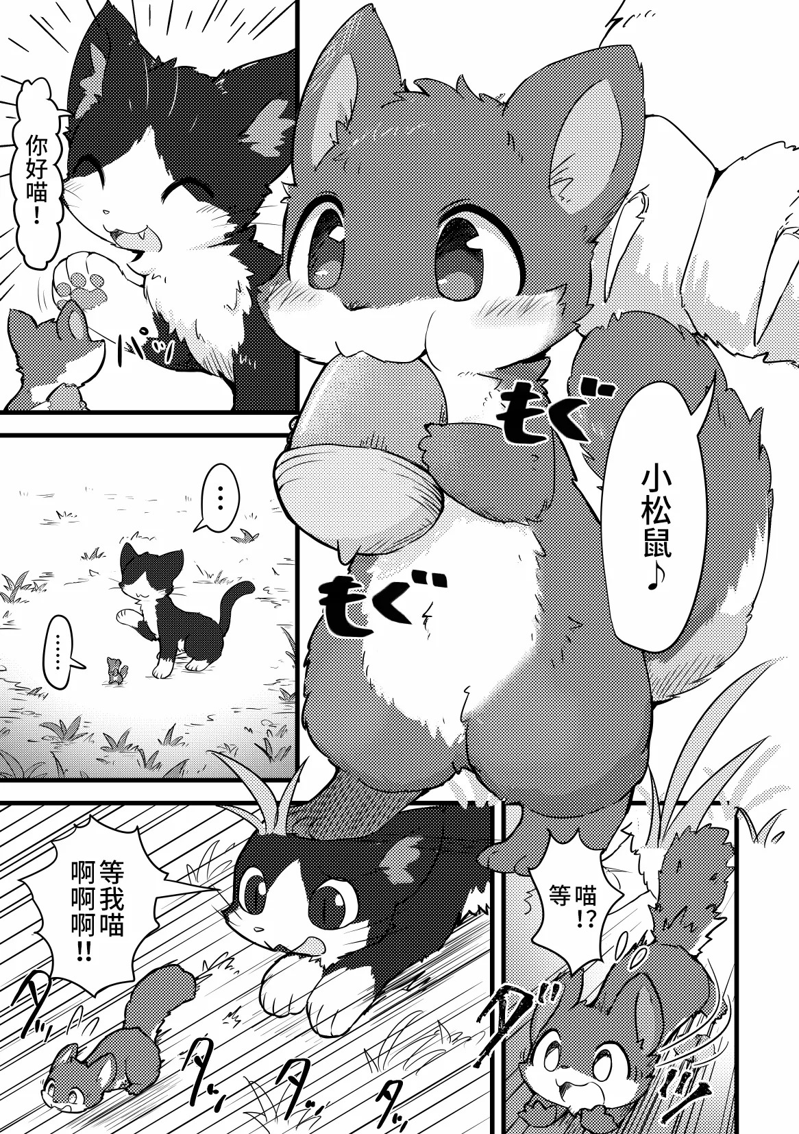 [funyua] Risu ga neko ni taberaretai | 松鼠想要被猫猫吃掉 [海豚之涌众筹汉化] 图片编号 3