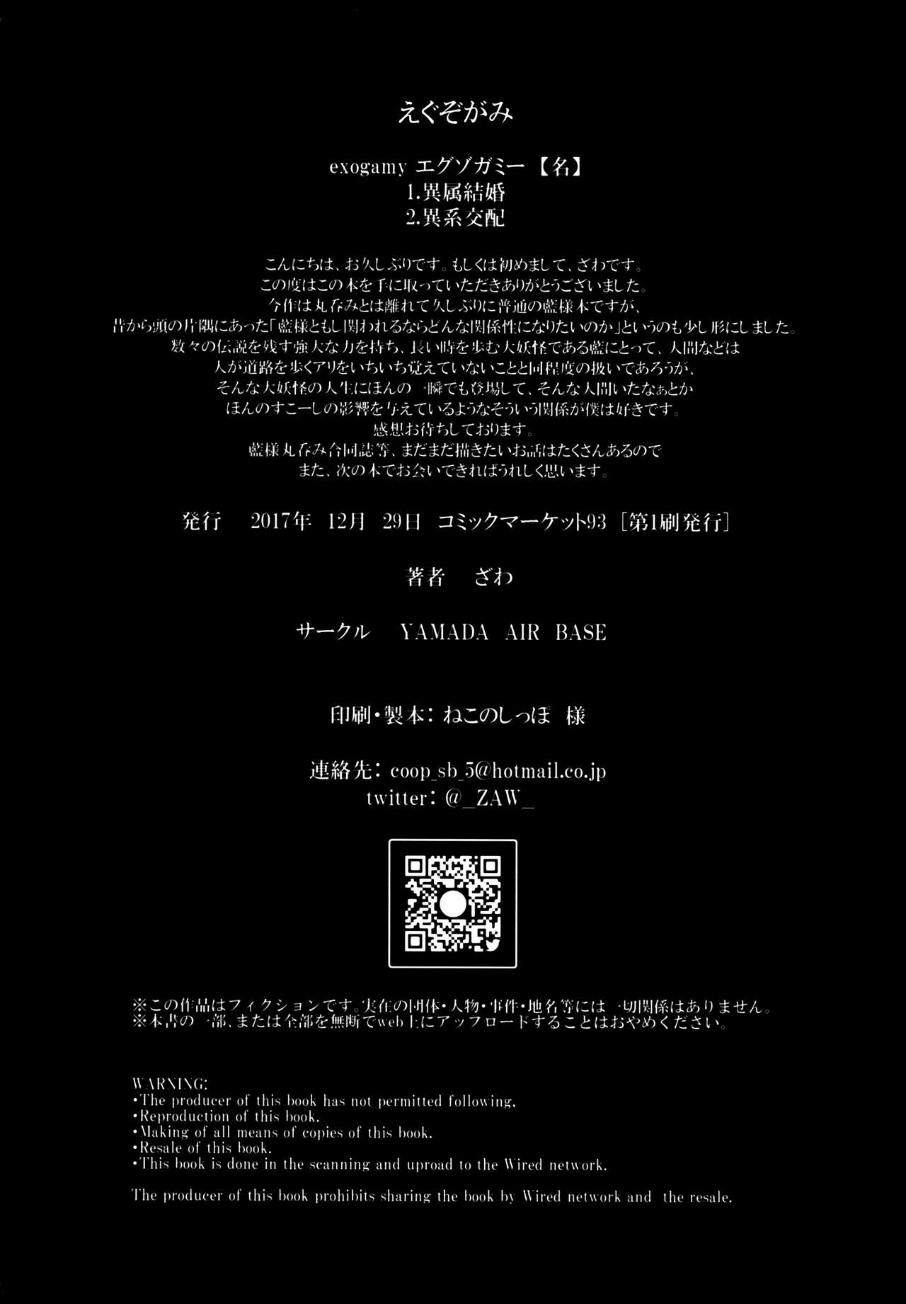 (C93) [YAMADA AIR BASE (Zawa)] Exogamy (Touhou Project) [Chinese] [冊語草堂] image number 28