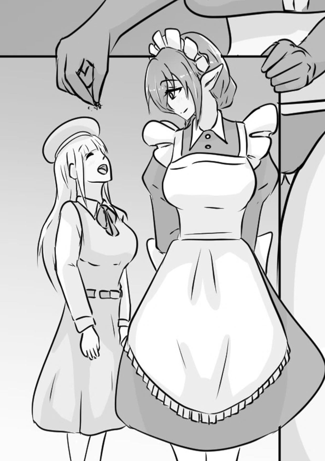 Operation Giant Maid 28eme image