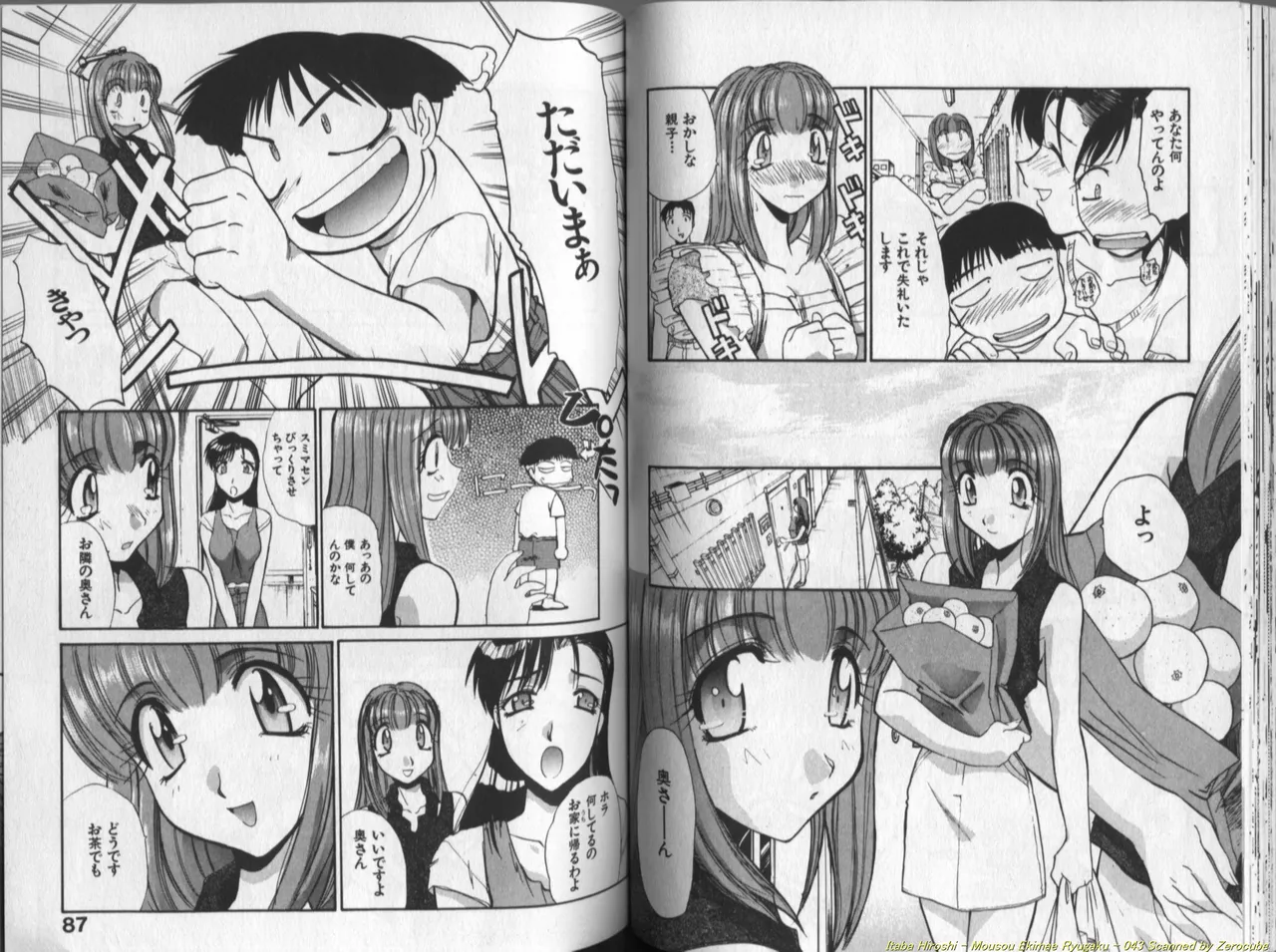 [Itaba Hiroshi] Mousou Ekimae Ryugaku numero di immagine  44