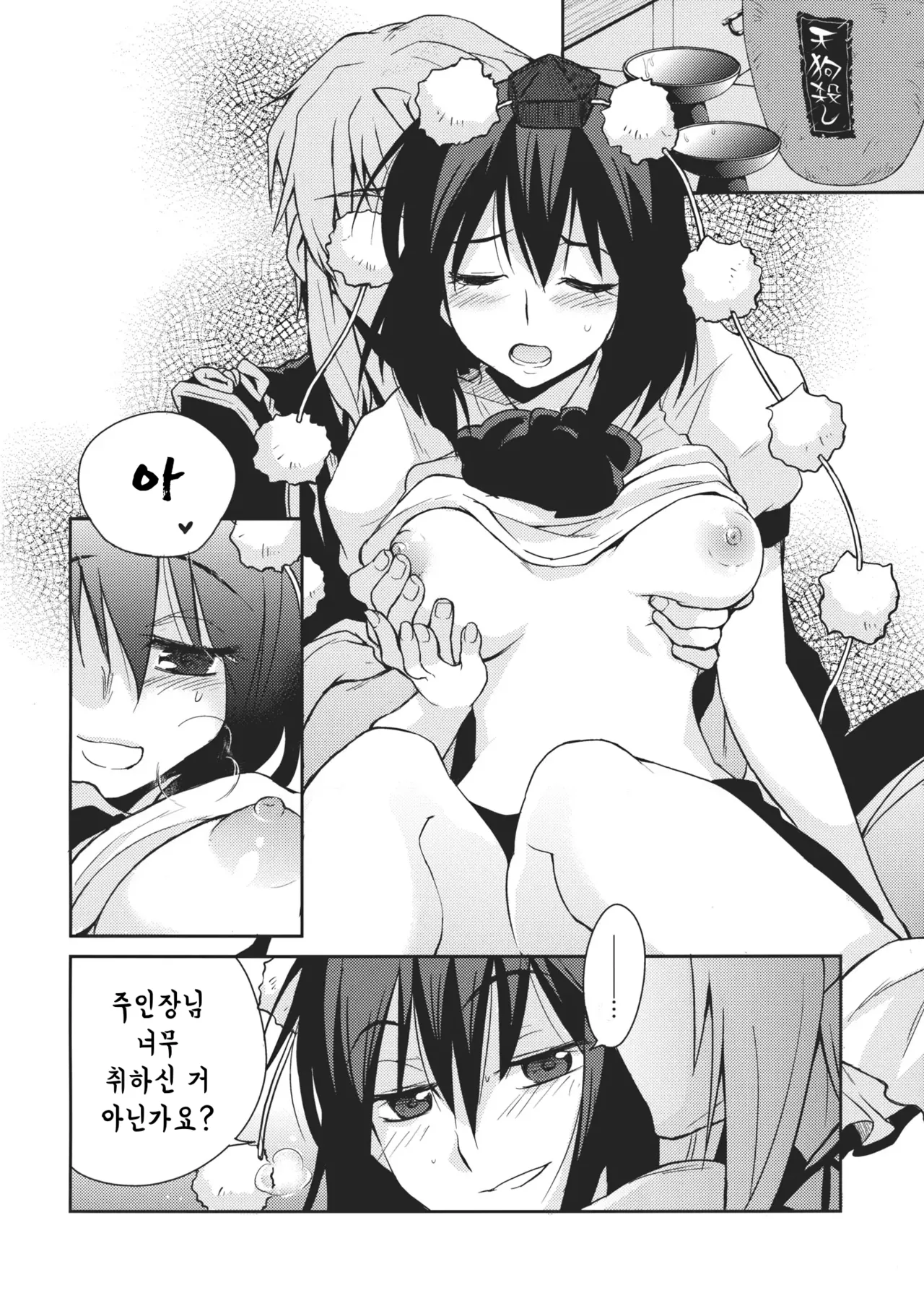 (SC52) [Hot Dog Chuck (Hirafumi)] Shoujo Sono Na wa Amatsu Kamiboshi | 소녀, 그 이름은 아마츠카미보시 (Touhou Project) [Korean] 图片编号 9