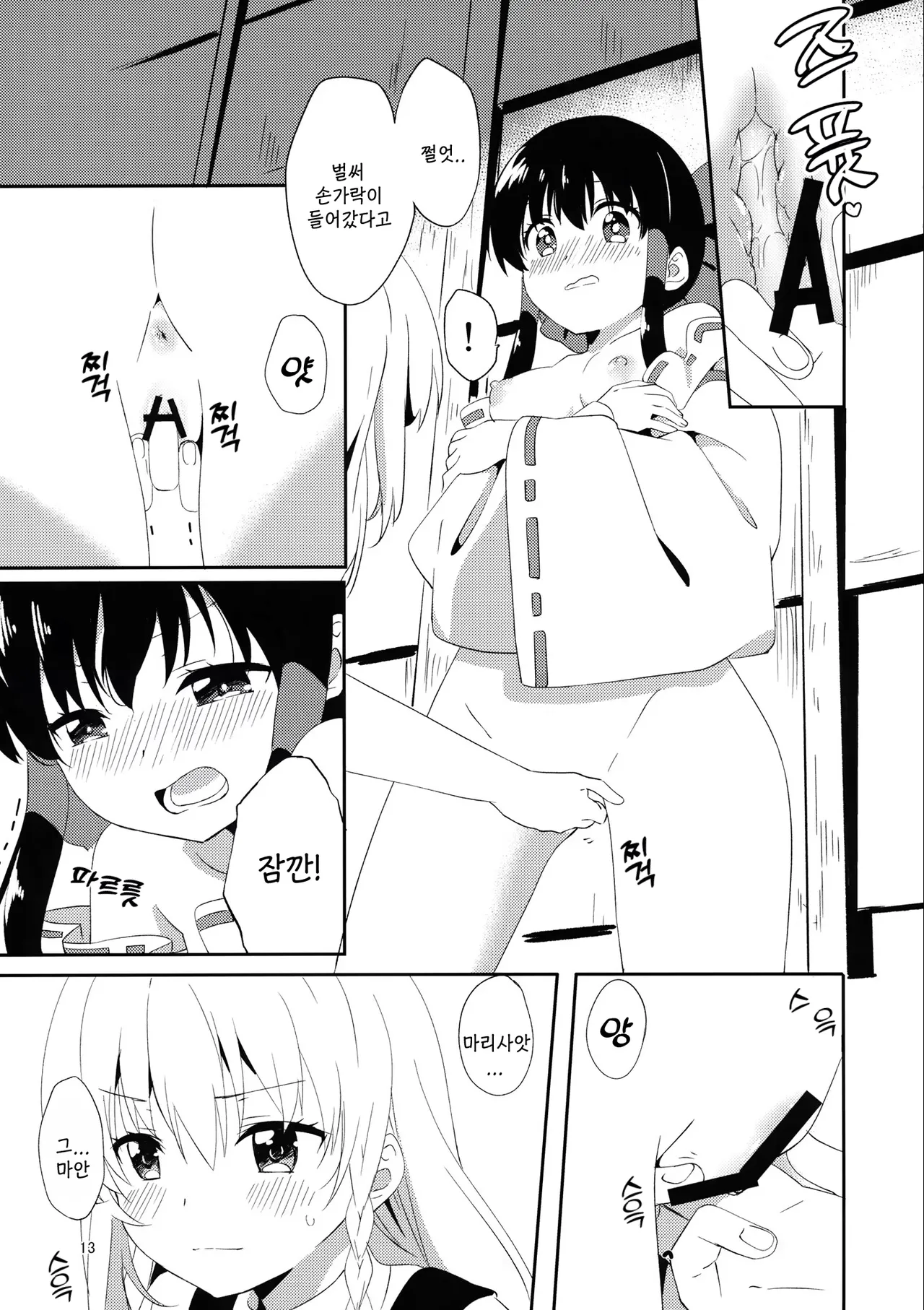 (C97) [Makkou Kujira (ema20)] REVENGE (Touhou Project) [Korean] 图片编号 12