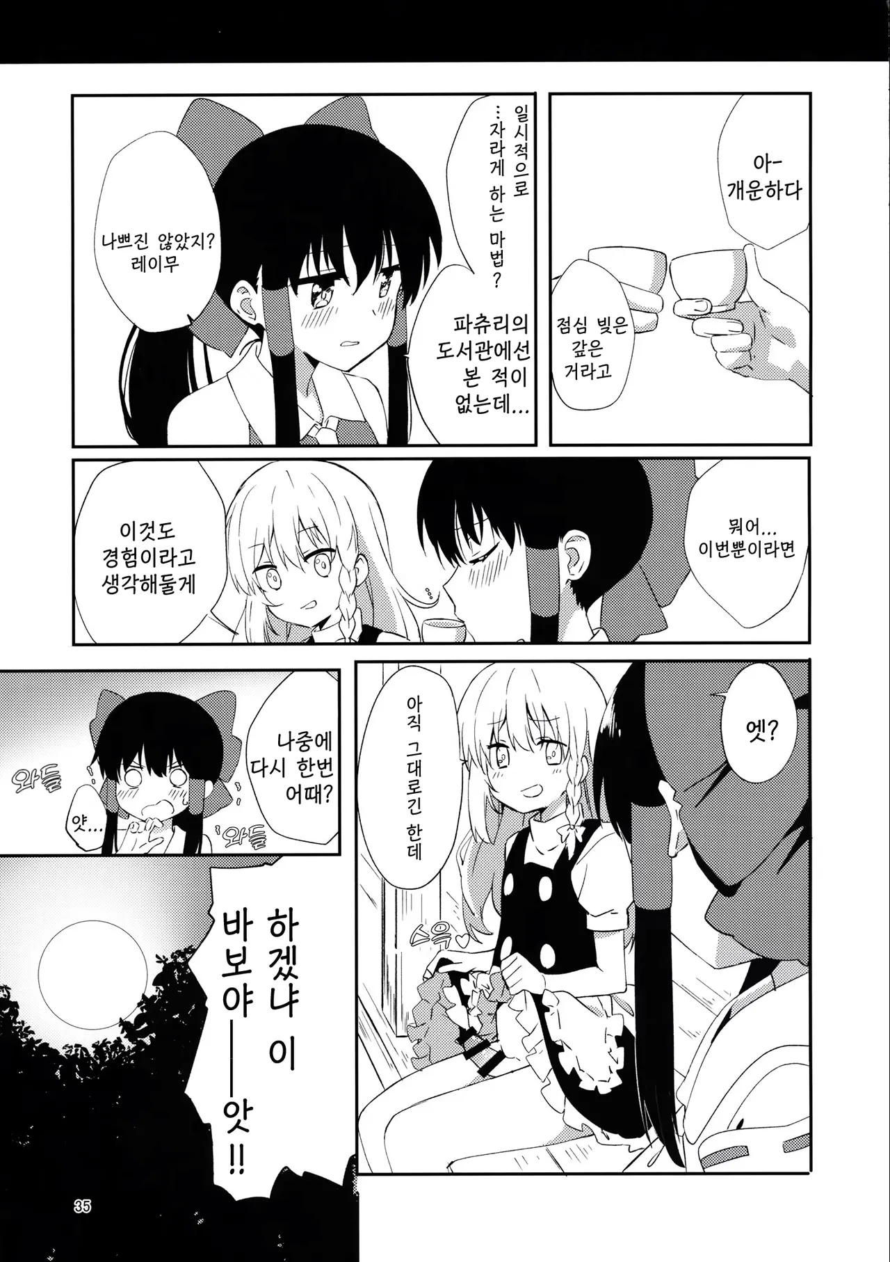 (C97) [Makkou Kujira (ema20)] REVENGE (Touhou Project) [Korean] 图片编号 34