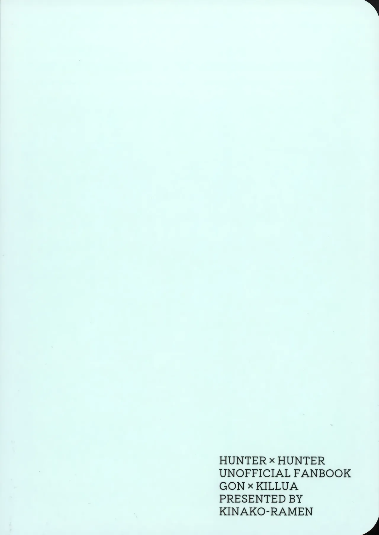 [Kinako Ramen (Okura Gohan)] Mou Ichido Yoake no Umi o Mi ni Ikou (Hunter x Hunter) numero di immagine  50