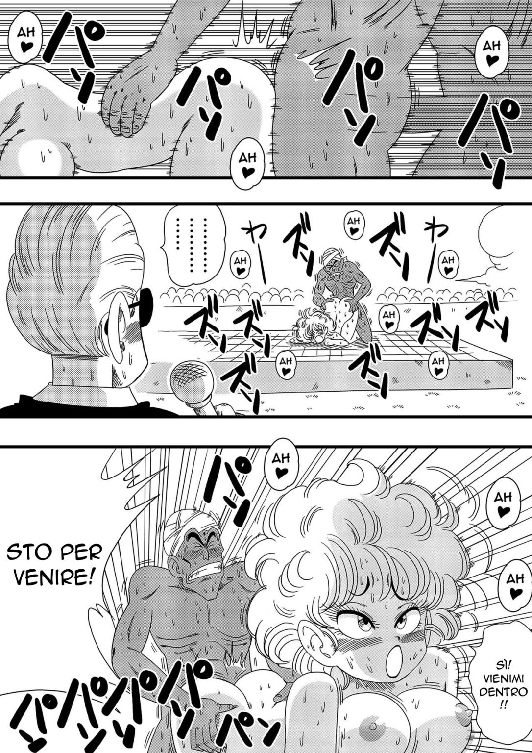 [Yamamoto] NAM VS RANFAN (Dragon Ball) [Italian] [Decensored] 图片编号 15