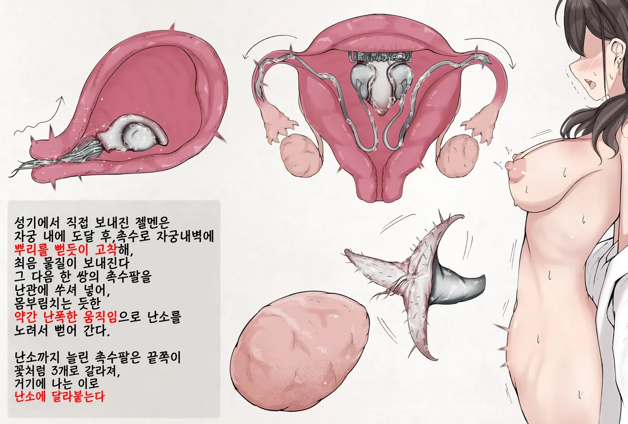 [Gura] Insect Research Report No.24 | 벌레 연구 보고서 No.24 [Korean] image number 3
