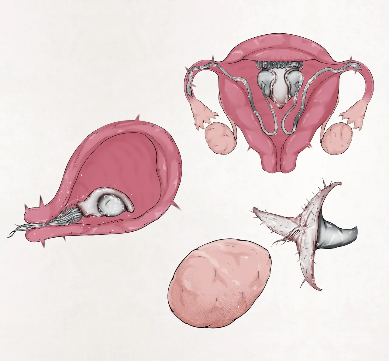 [Gura] Insect Research Report No.24 | 벌레 연구 보고서 No.24 [Korean] image number 9
