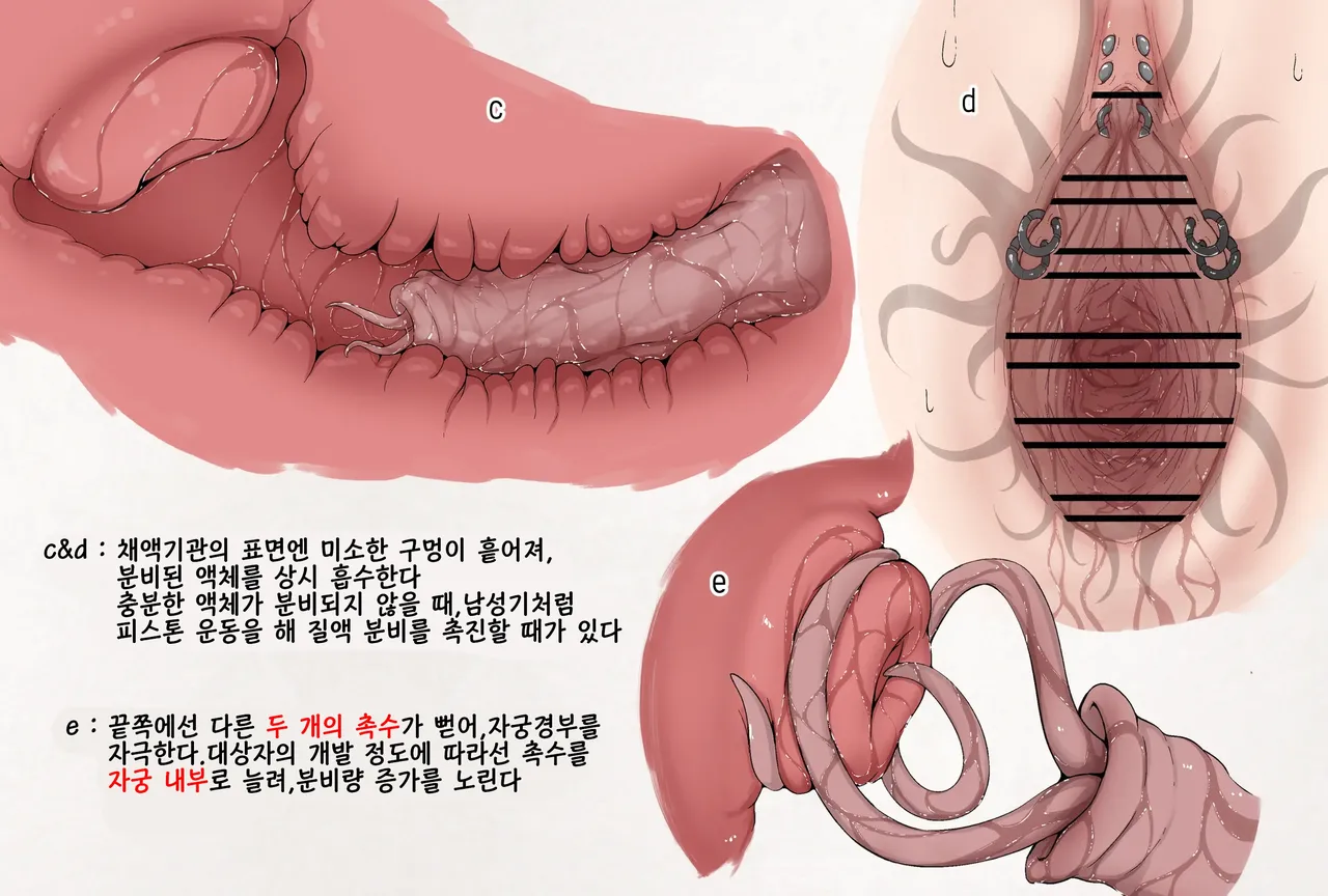 [Gura] Insect Research Report No.25 | 벌레 연구 보고서 No.25 [Korean] image number 3