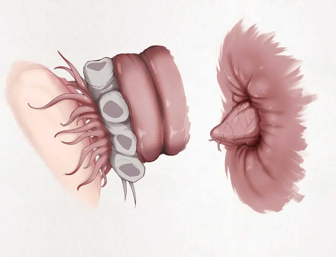 [Gura] Insect Research Report No.25 | 벌레 연구 보고서 No.25 [Korean] image number 8