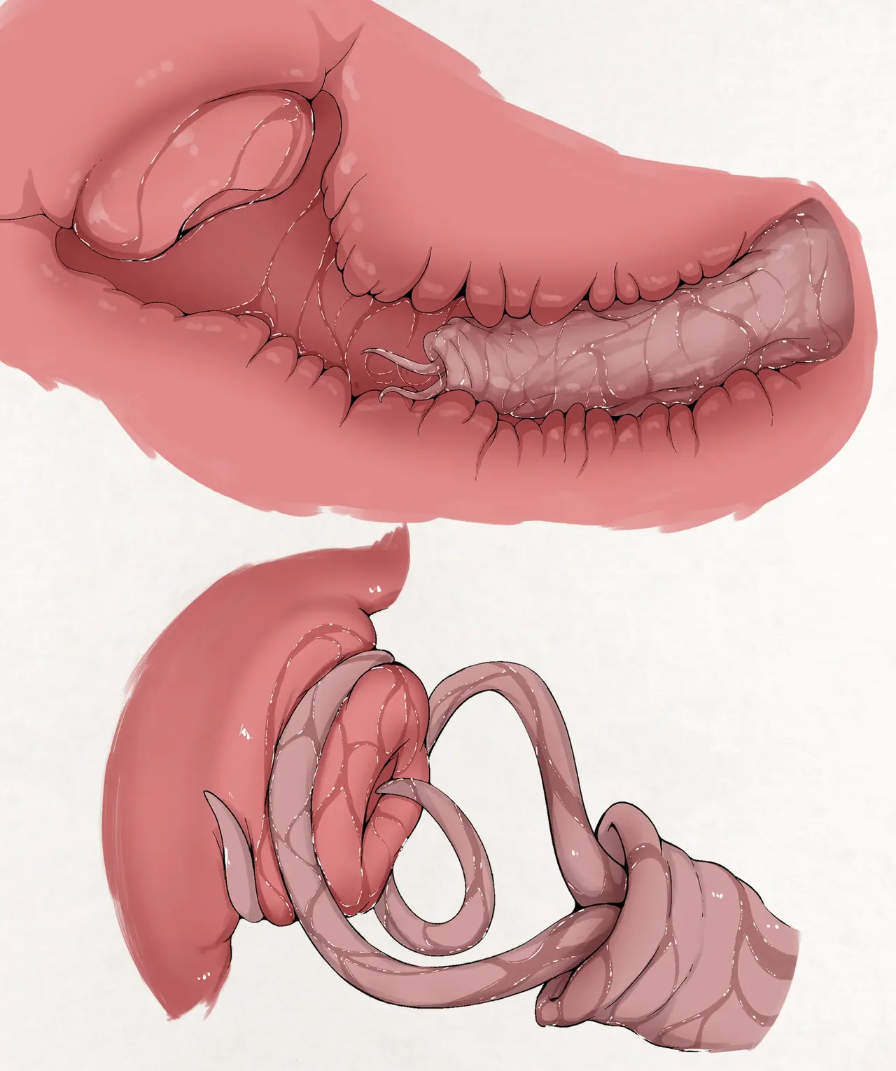 [Gura] Insect Research Report No.25 | 벌레 연구 보고서 No.25 [Korean] image number 9