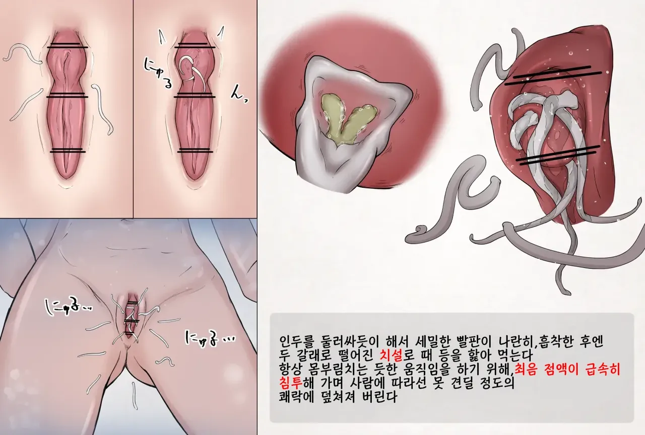 [gura] Mushi Research Report Ex_No.07 | 벌레 연구 보고서 Ex_No.7 numero di immagine  3