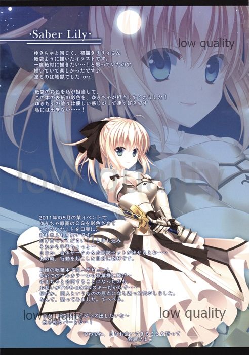 (C81) [Piyo Project., Ame nochi Yuki (Hatori Piyoko, Ameto Yuki)] Yome o Shoukai Shimasu (Tsukihime, Fate/stay night) numero di immagine  14