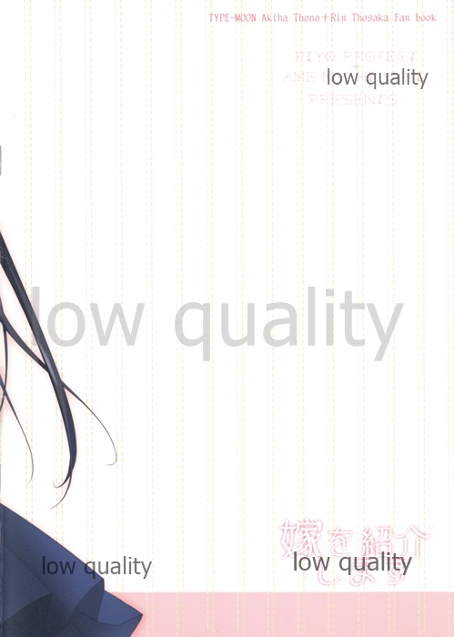 (C81) [Piyo Project., Ame nochi Yuki (Hatori Piyoko, Ameto Yuki)] Yome o Shoukai Shimasu (Tsukihime, Fate/stay night) numero di immagine  16