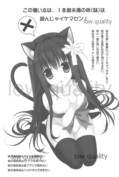 (Mimiket 27) [Piyo Project. (Hatori Piyoko)] Onee-chan to Chucchu Shiyo numero di immagine  2