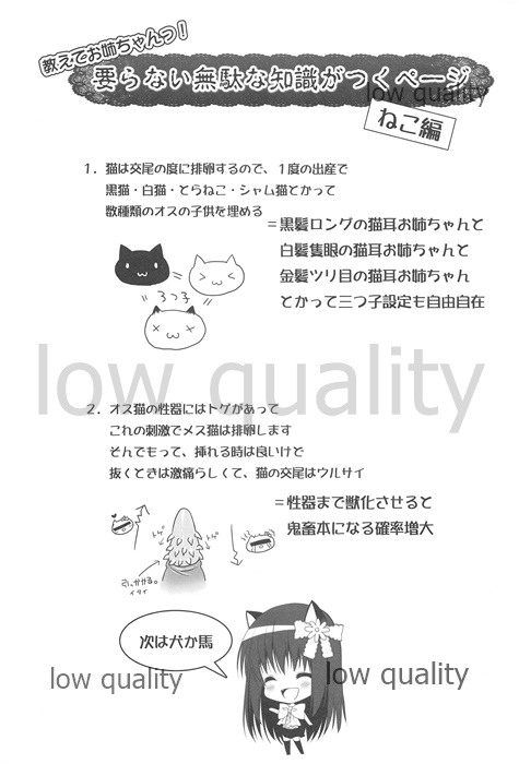 (Mimiket 27) [Piyo Project. (Hatori Piyoko)] Onee-chan to Chucchu Shiyo numero di immagine  20