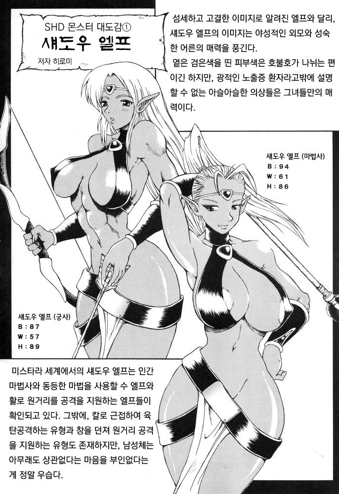 (C67) [SHD (Buchou Chinke)] Haijo DD Chou (Dungeons & Dragons) [Korean] image number 18