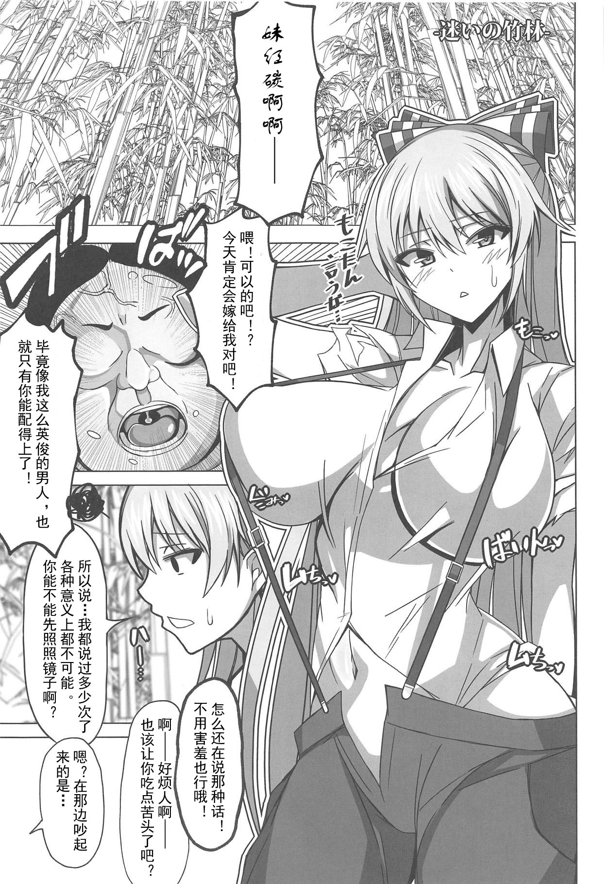 (C95) [Shichiten Battou (Muska)] DEVOTE MY LIFE (Touhou Project) [Chinese] [罗莎琳个人汉化] 图片编号 3