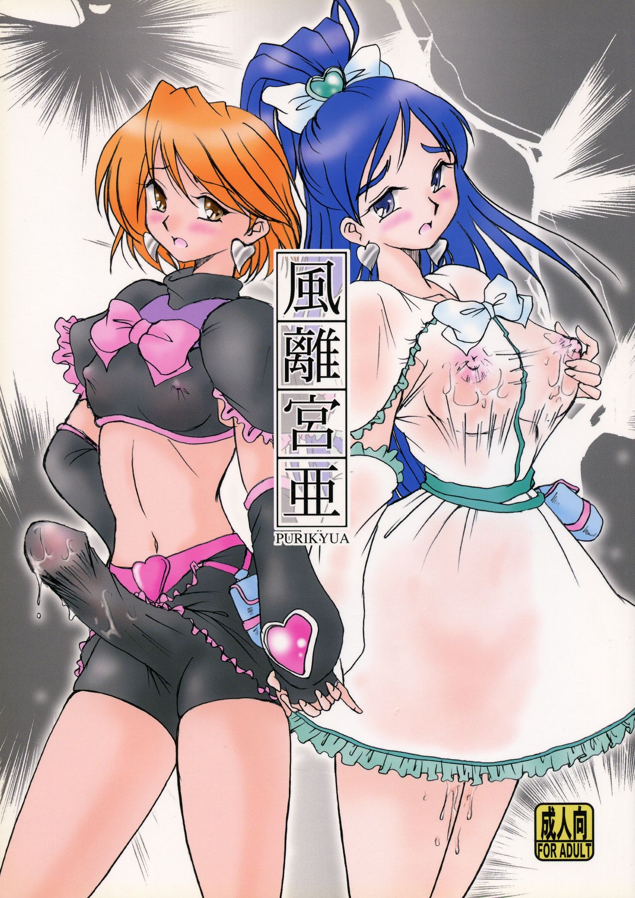 (C66) [Henachoko Domei (Yapi)] Kazariya (Futari wa Precure) 图片编号 1