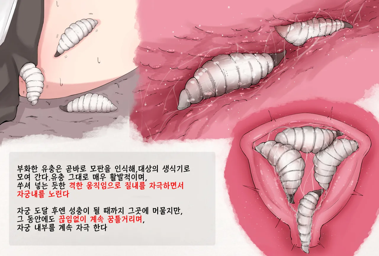 [gura] Mushi Research Report EX No.11 [korean] 图片编号 3