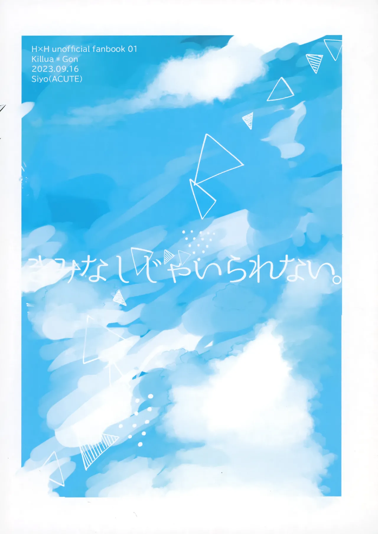 (Re:HUNTER 09) [ACUTE (Siyo)] Kimi Nashi ja Irarenai. (Hunter x Hunter) numero di immagine  30