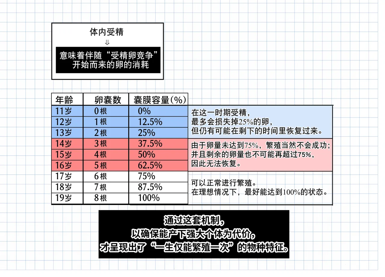 [白魚京][Chinese]短篇：海藤花的芬芳～绮良～ & 头足种族的子宫结构解析(XueHuKING个人AI汉化自嵌) image number 14