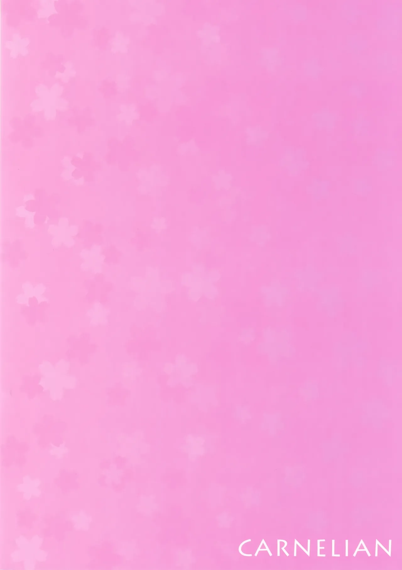 (C89) [CARNELIAN] Oyome-san ni Shite Kudasai｜Please Make Me Your Wife (Kantai Collection -KanColle-) [English] [Ne-Kai Agenda] image number 23