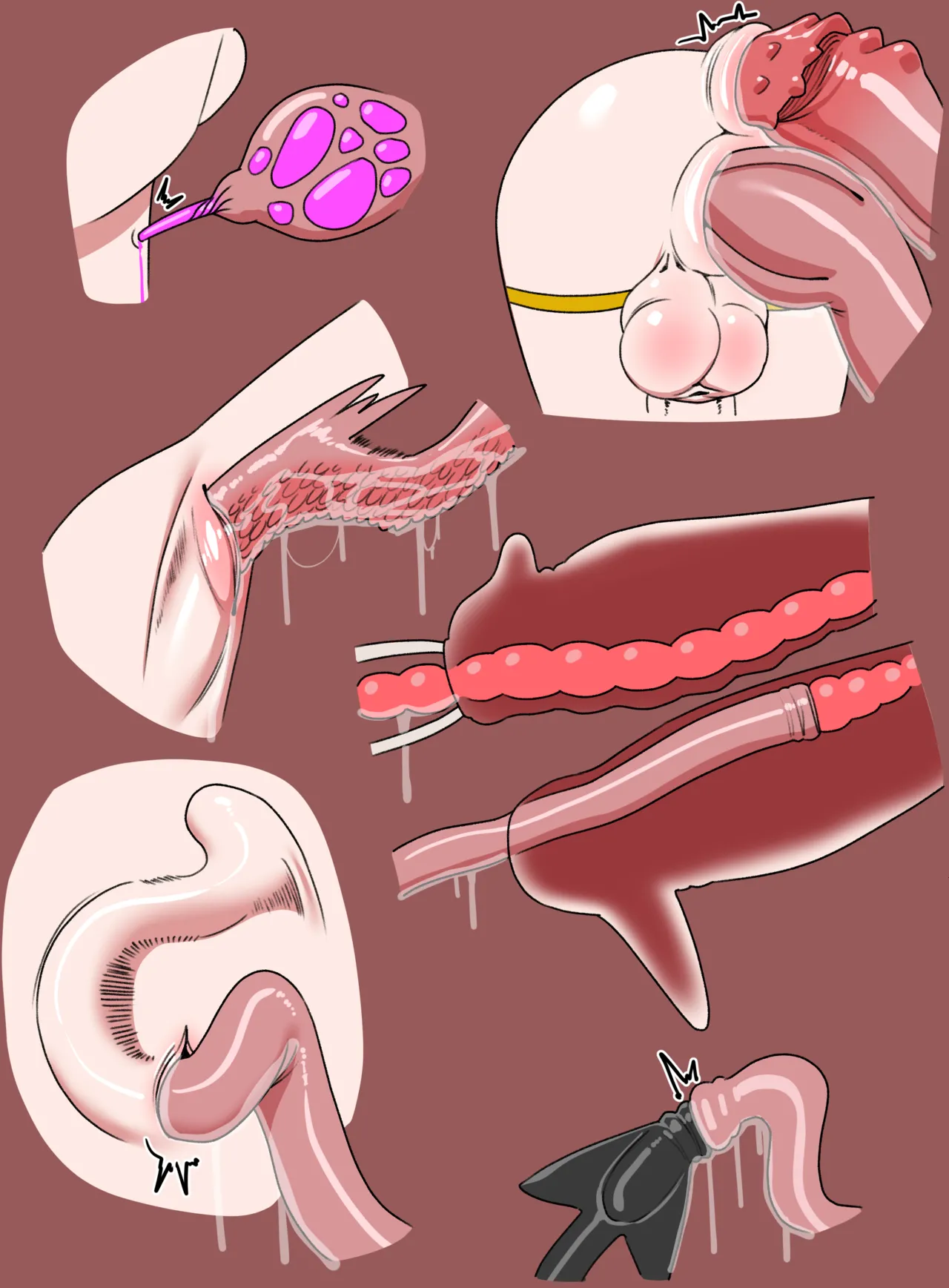 LIVI x TENTACLES image number 5