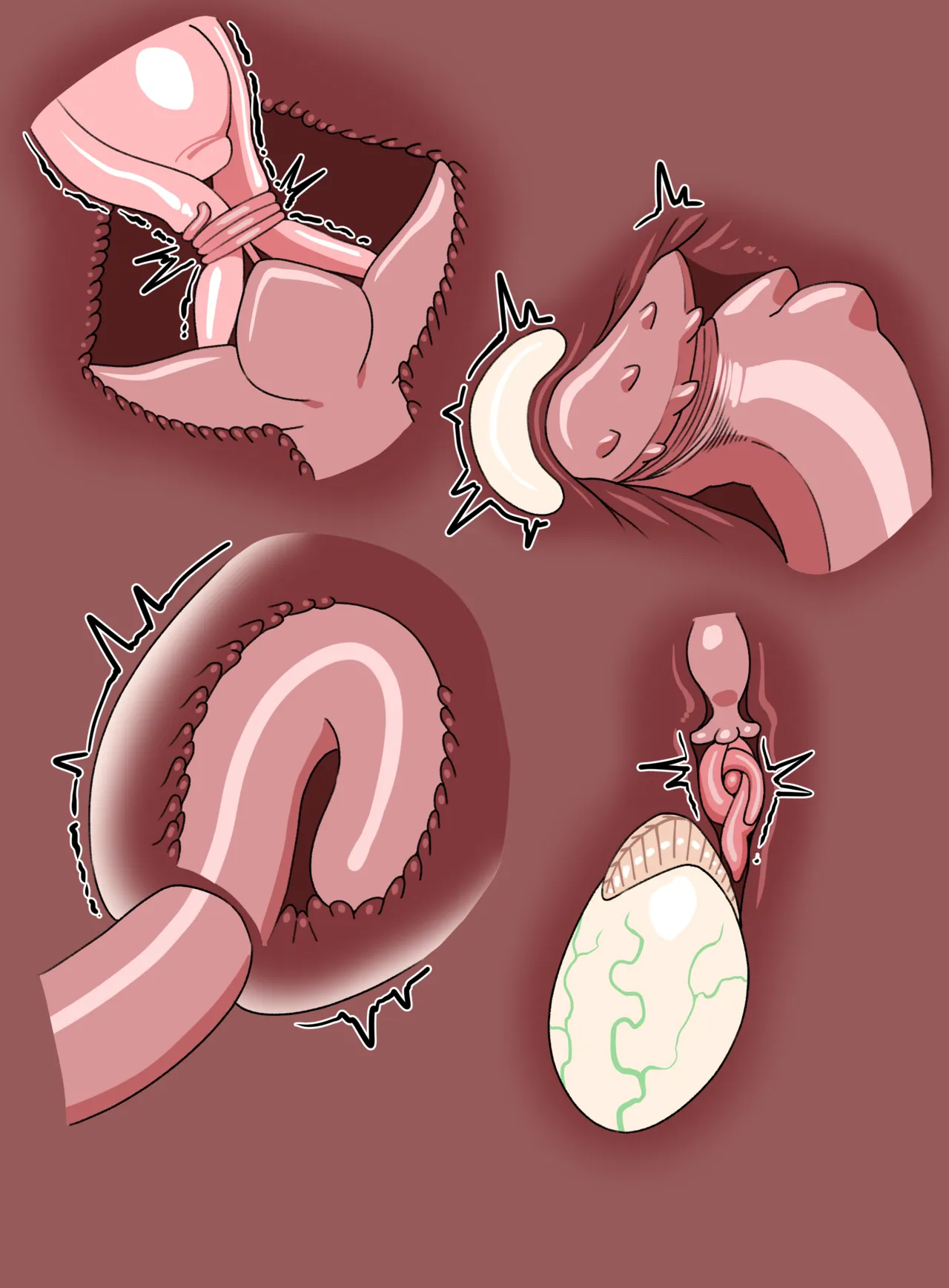 LIVI x TENTACLES image number 7