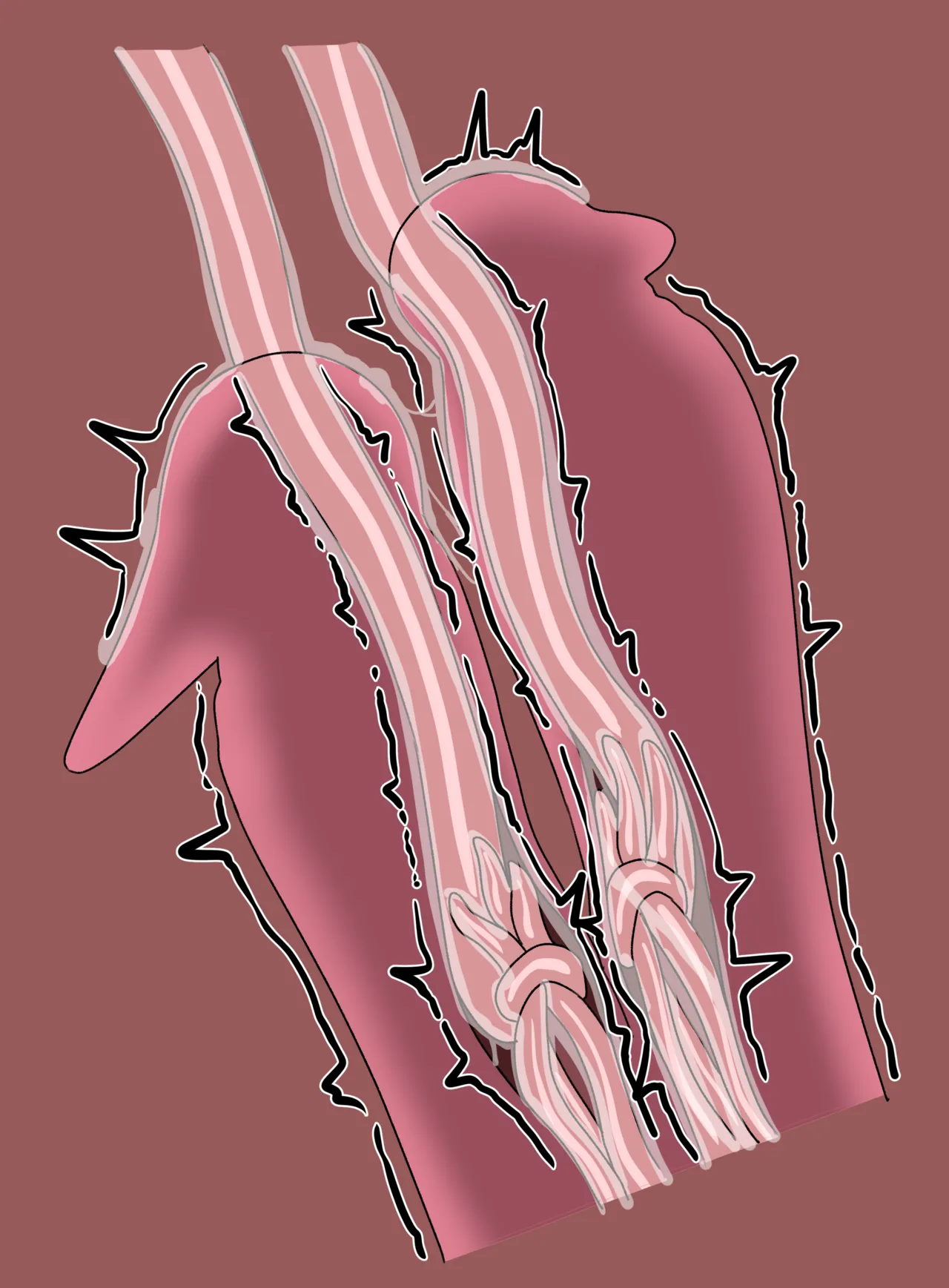 LIVI x TENTACLES image number 23