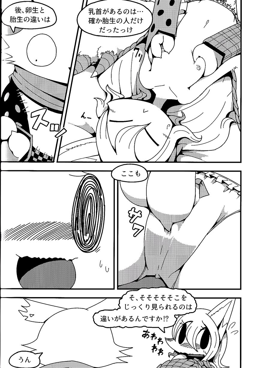 (C94) After Like (Pandemonium Wizard Village) image number 14