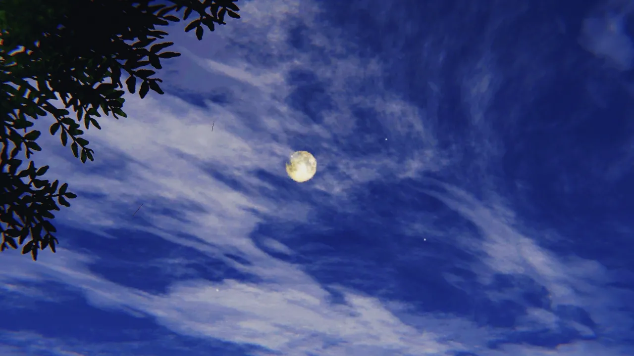 空间传说之神与罪 24eme image