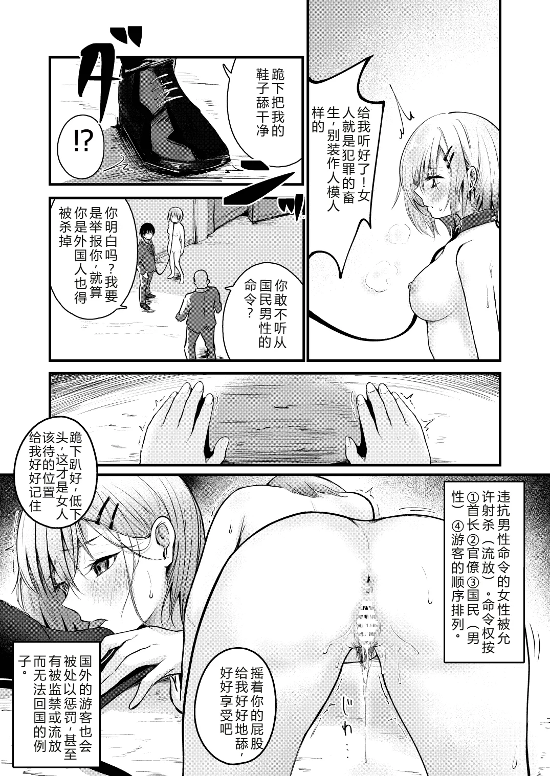 [mokataki_works (Mokataki)] Josei no Kenri ga Ushinawareta Kuni | 女性丧失权利的国家 [Chinese] [goldenboundlessland个人汉化] 画像番号 9