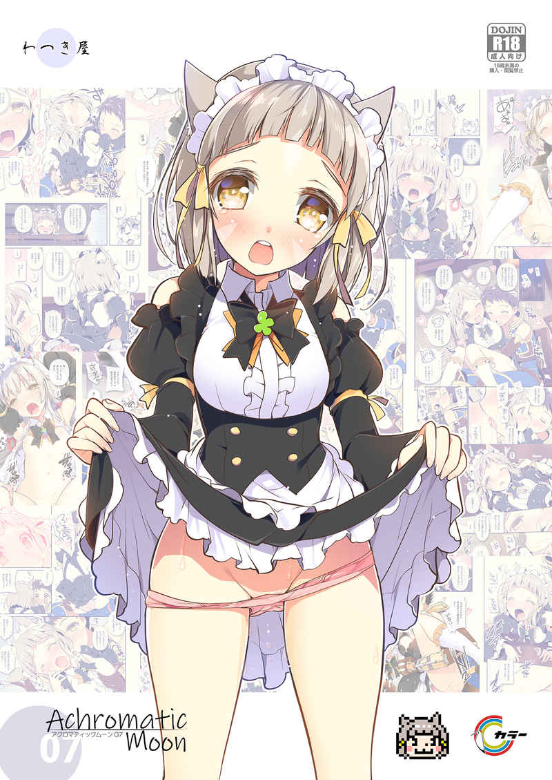 [Watsukiya (Watsuki Rumi, Yuuki Sei)] Achromatic Moon 07 (Xenoblade Chronicles 2)sample première image