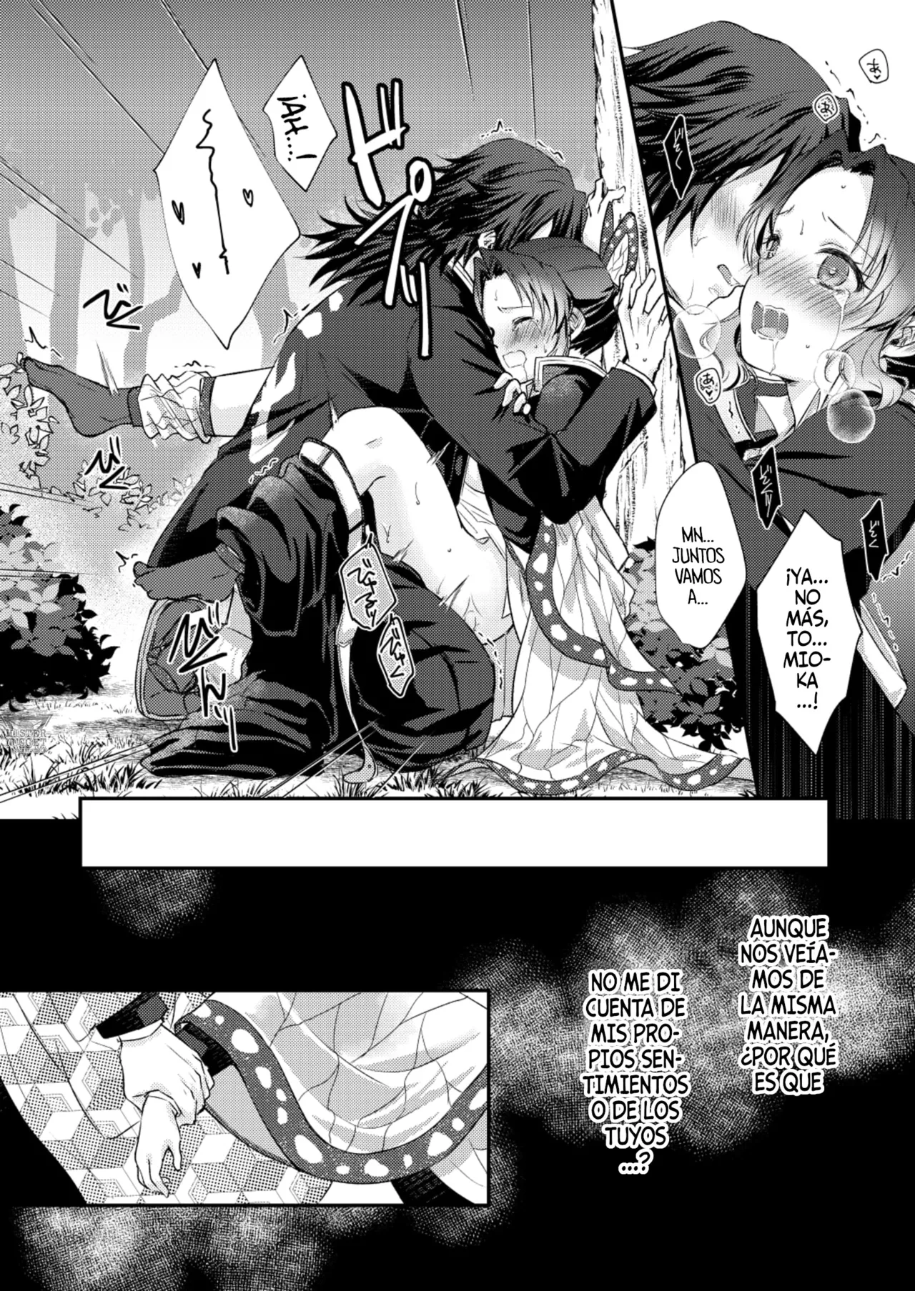 [SAKEYOKOSE (Takebu)] Sore wa Kizu ka Hoteri ka Kaeri Chi ka | ¿Es Un Rasguño, Sensación de Ardor o Un Chorro de Sangre? (Karasu ga Naitara Kaerimashou) (Kimetsu no Yaiba) [Spanish] [Mister Nugget] [Digital] Bildnummer 38