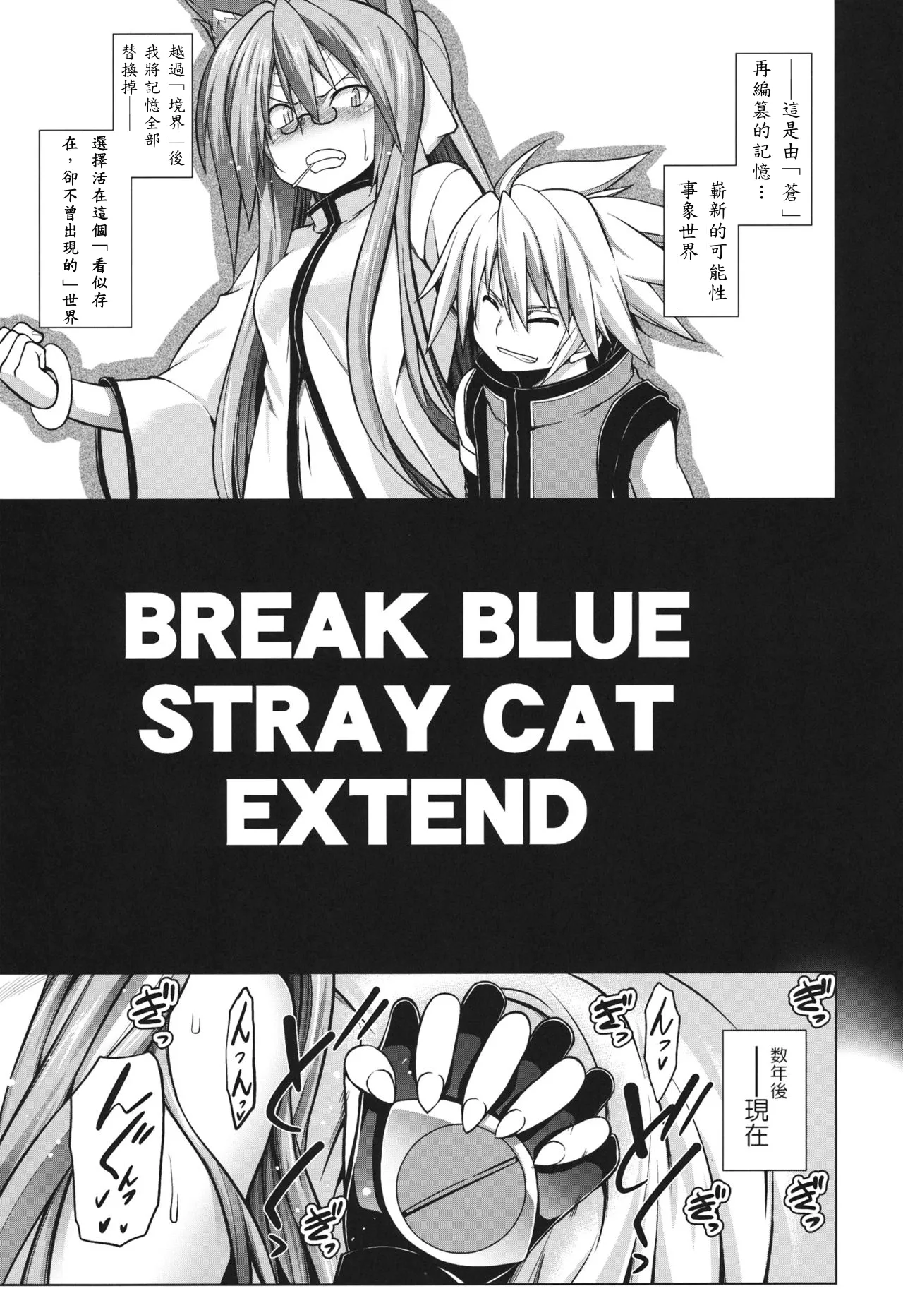 (C81) [STUDIO TIAMAT (TANABE)] BREAK BLUE STRAY CAT EXTEND (BLAZBLUE) [Chinese] [蒼翼到底要不要出新作個人翻譯] Bildnummer 5