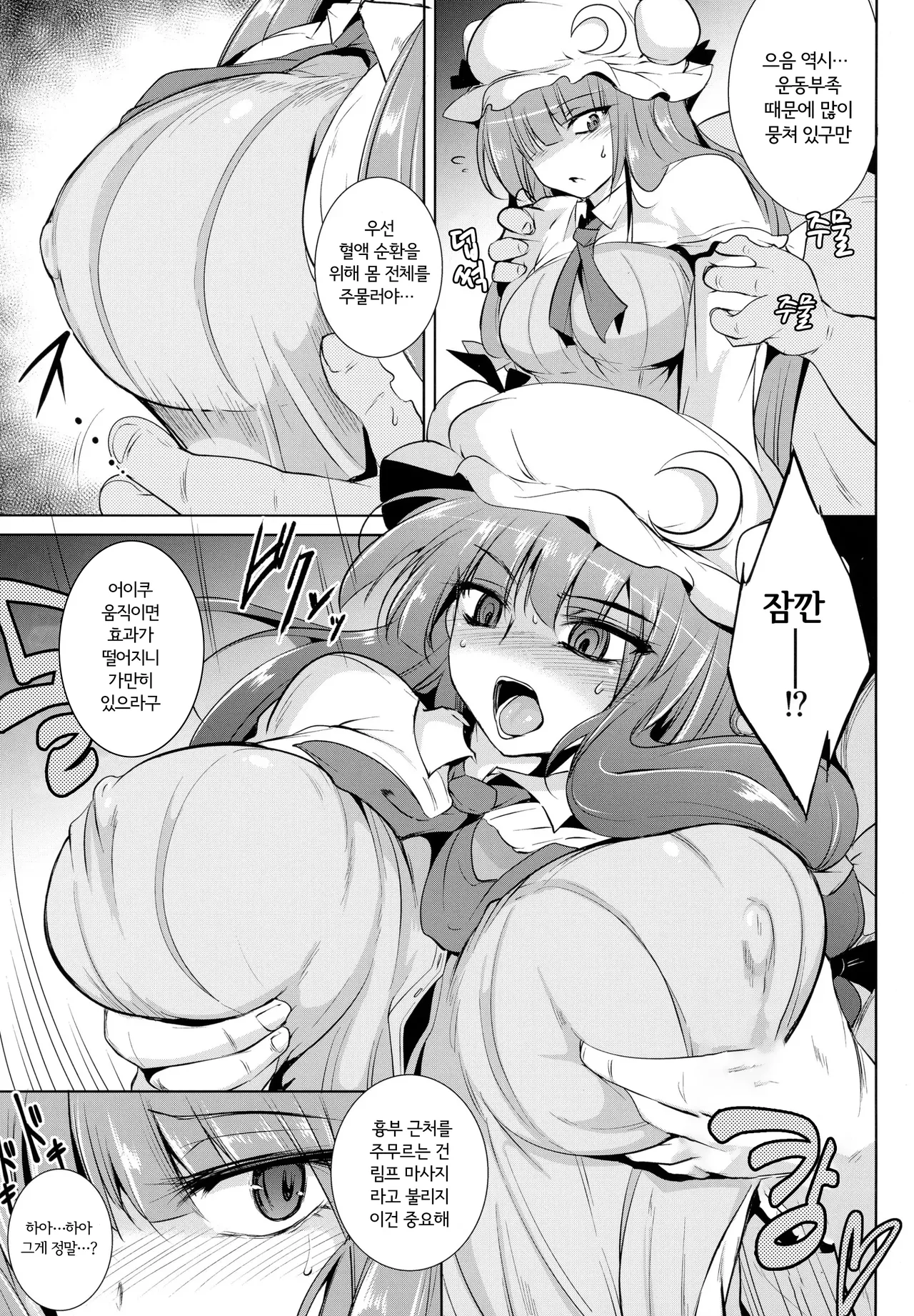 (Reitaisai 14) [MegaSoundOrchestra (Sanwaribiki)] Gensou Enkou -Knowledge- | 환락의 환상접대 -파츄리편- (Touhou Project) [Korean] [BroadRight] 画像番号 9