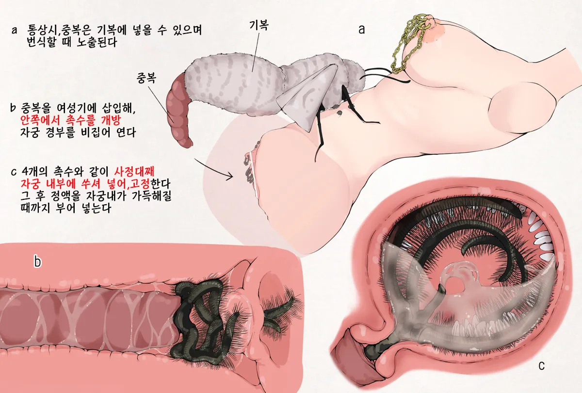 [gura] Mushi Research Report EX No.12 [korean] image number 3