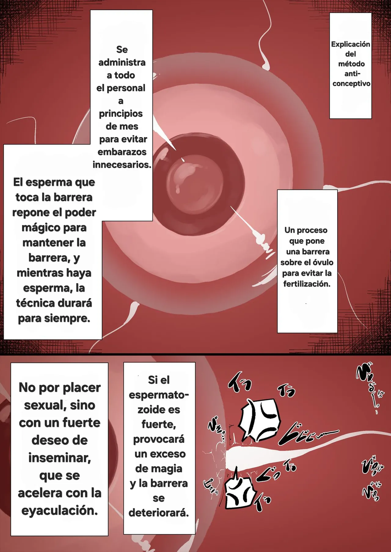 [Shirado umi] Senshi-tai Futanari Tanetsuke Kyouren | Entrenamiento de inseminación del cuerpo de combatientes futanari [Spanish] 画像番号 6