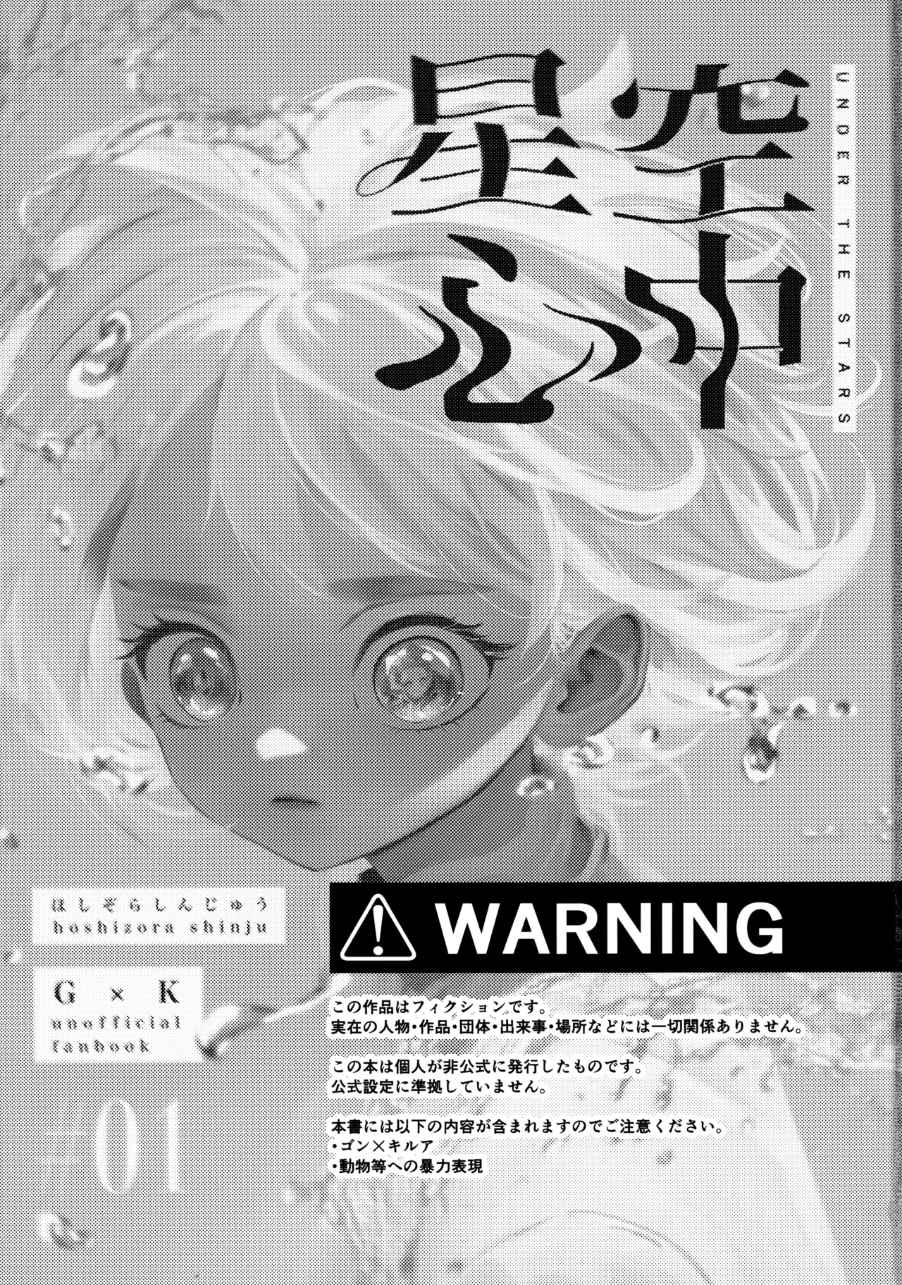 [Muchi-Patsu-Bakufu (Tayapiromimochi)] Hoshizora Shinjuu (Hunter x Hunter) image number 2