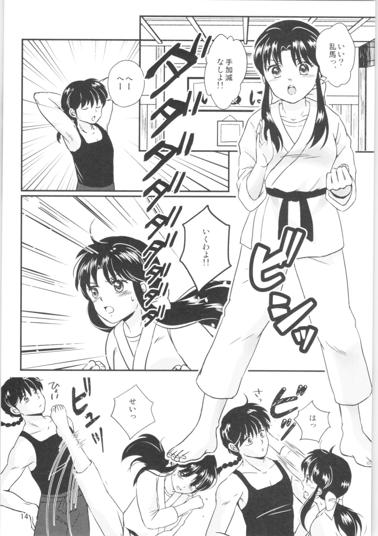 (SPARK14) [Entropy (mutsuki)] Distorted Love (Ranma 1/2) imagen número 13