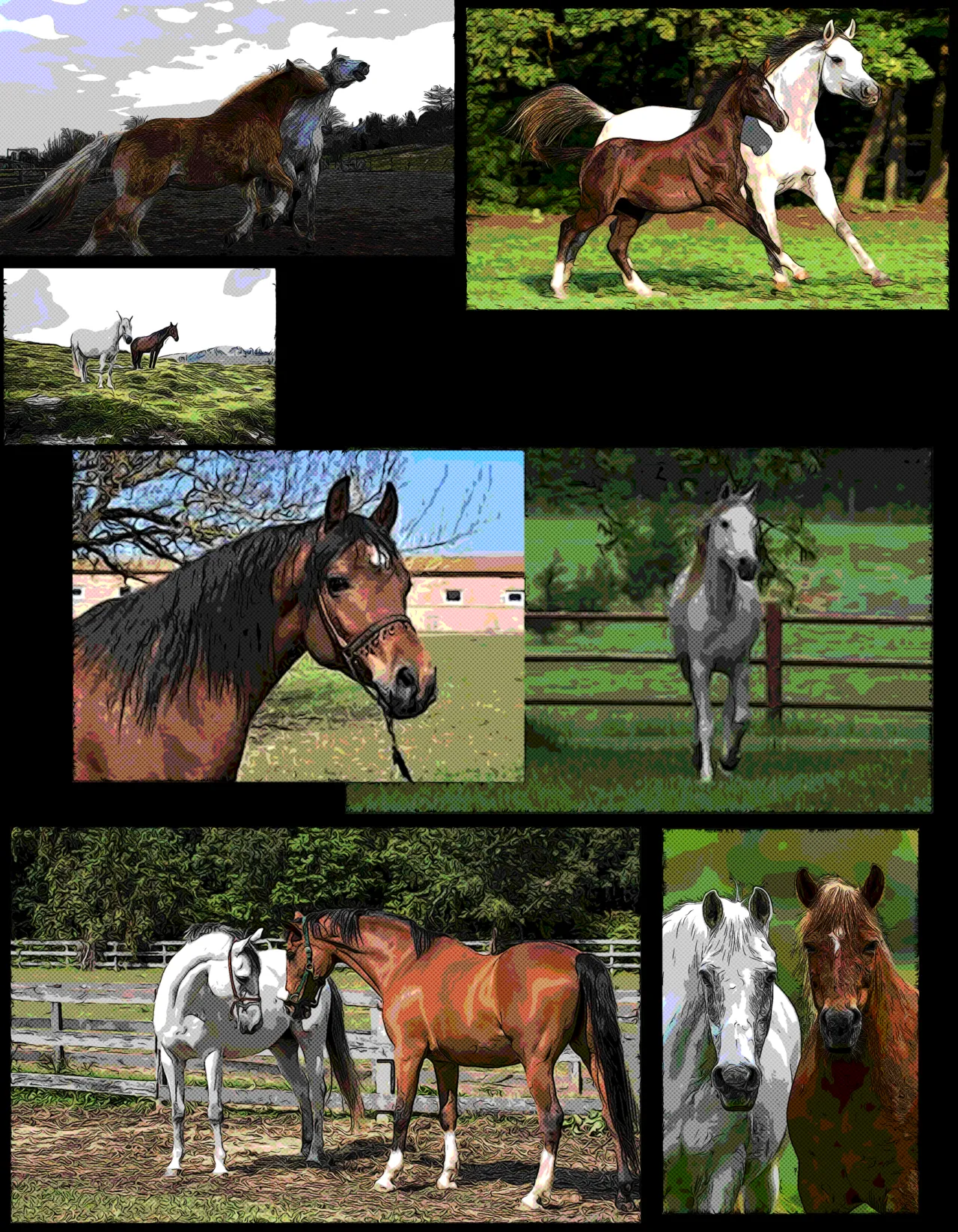 Thank You McQueen 画像番号 12