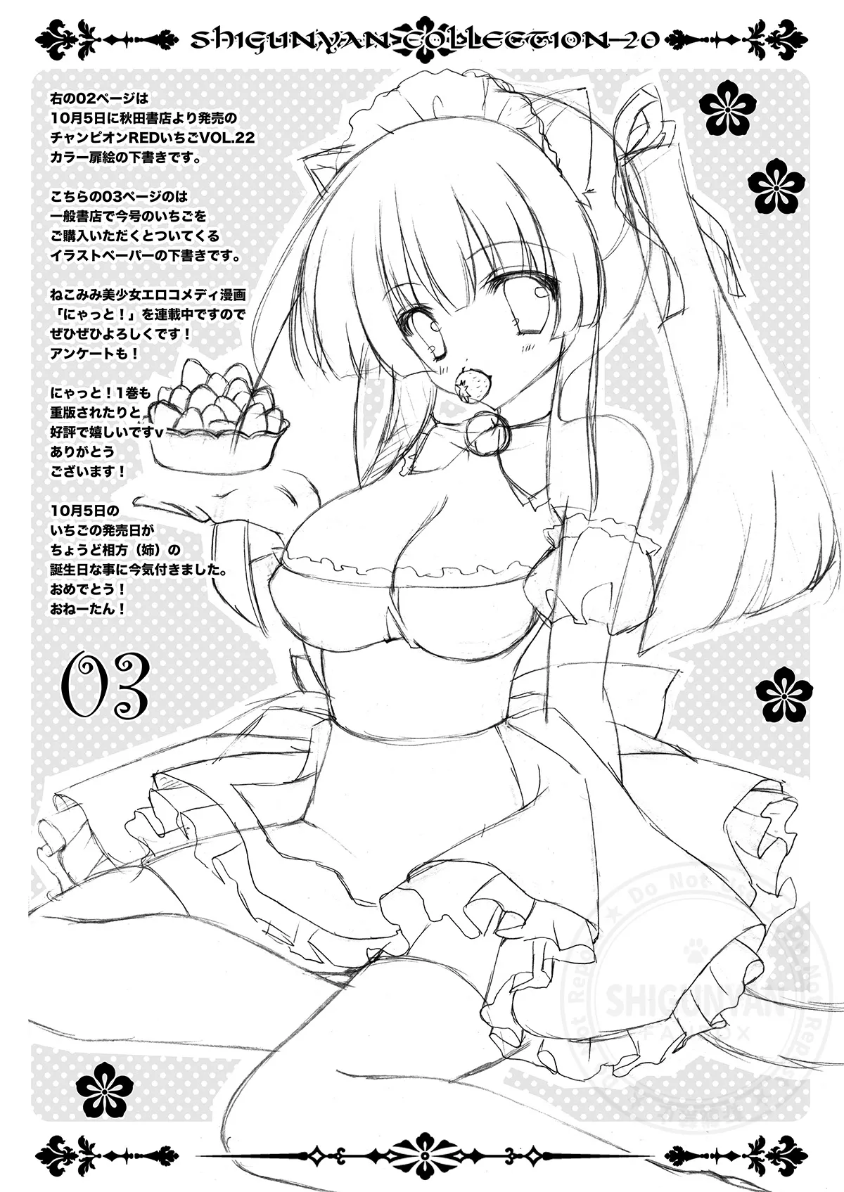 [Shigunyan (Shigunyan)] Shigukore 20 (Touhou Project) [Digital] 3eme image