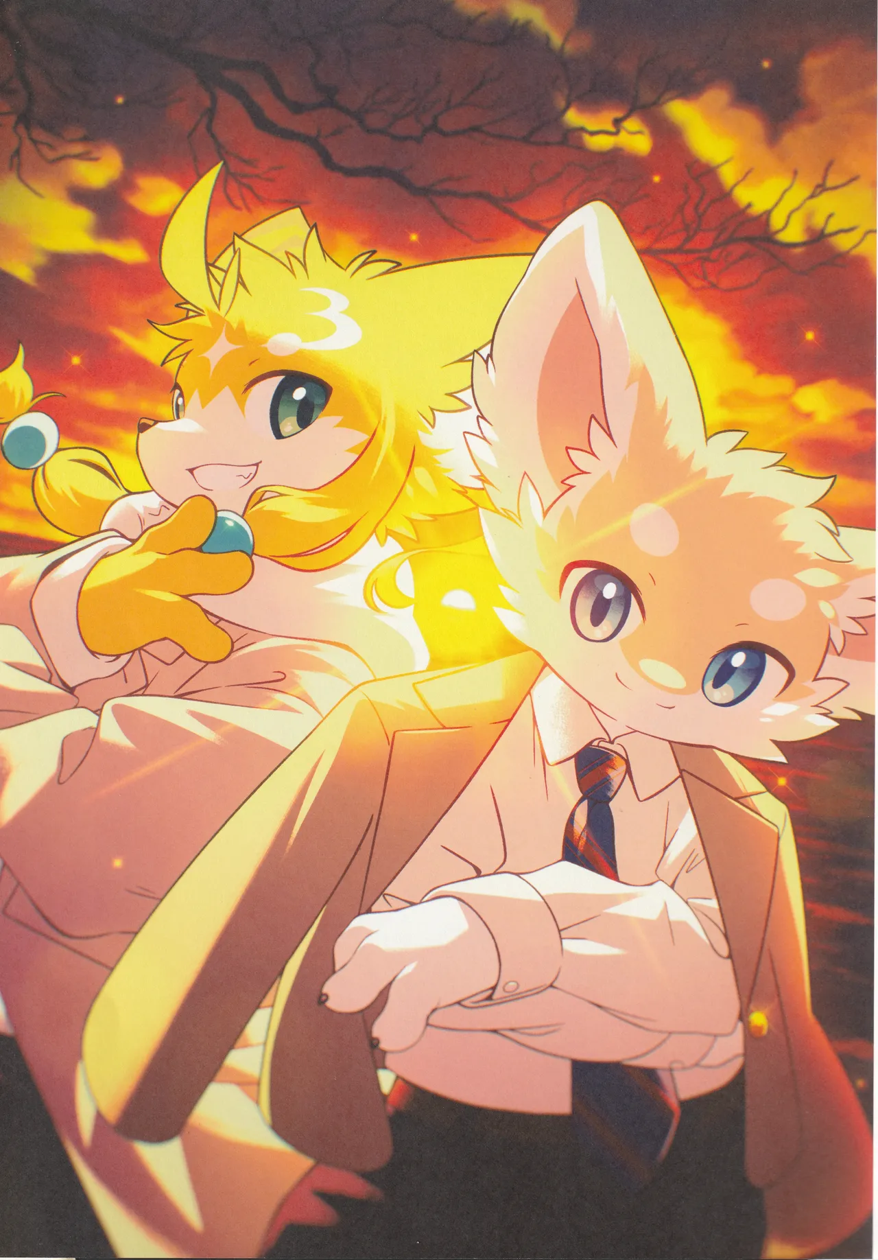 TSBON5 imagen número 6