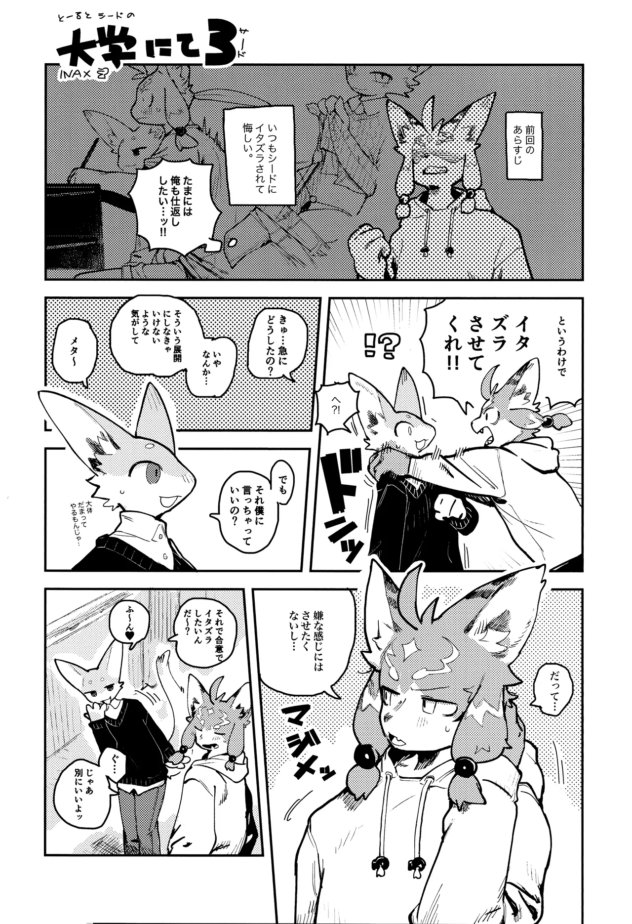 TSBON5 imagen número 8