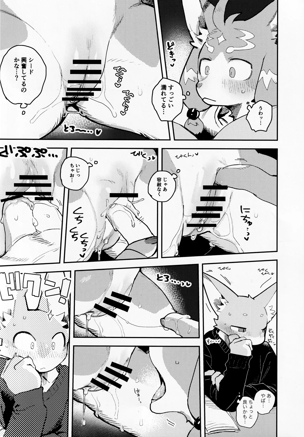 TSBON5 imagen número 11